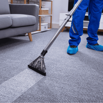 Servicio de limpieza de alfombras y sofás